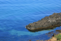 _MG_6393_.JPG
