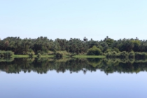 _MG_9893_smalllhp.JPG