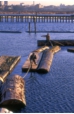 hp_shinkiba010_.jpg